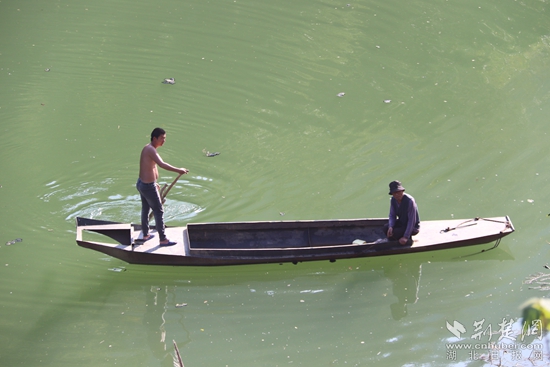 乘船出行、打魚(yú)至今都是盤山村民生活的一部分 黃錚 攝_副本.jpg